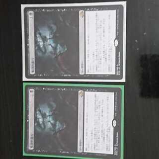 MtG 異界月 集団的蛮行 レア 日本語 2枚セット 1セット
