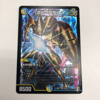 「雷光の聖騎士」