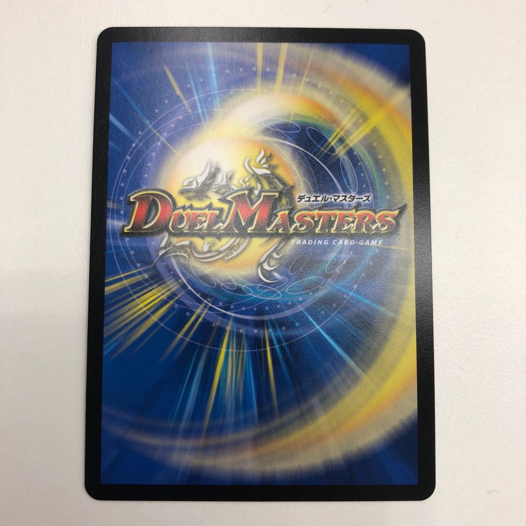 「絶対の楯騎士」