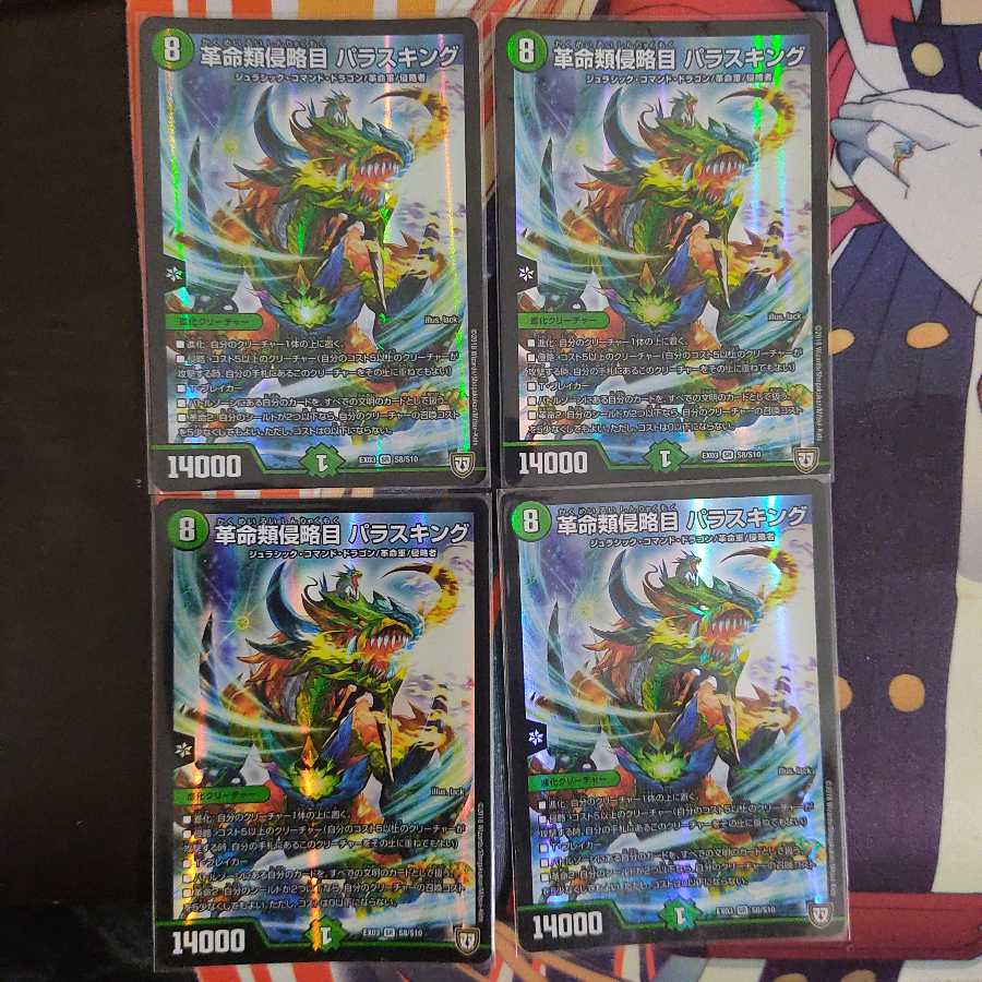 革命類侵略目 パラスキング