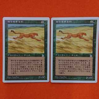 MTG1 Hunting Cheetah 2-card set