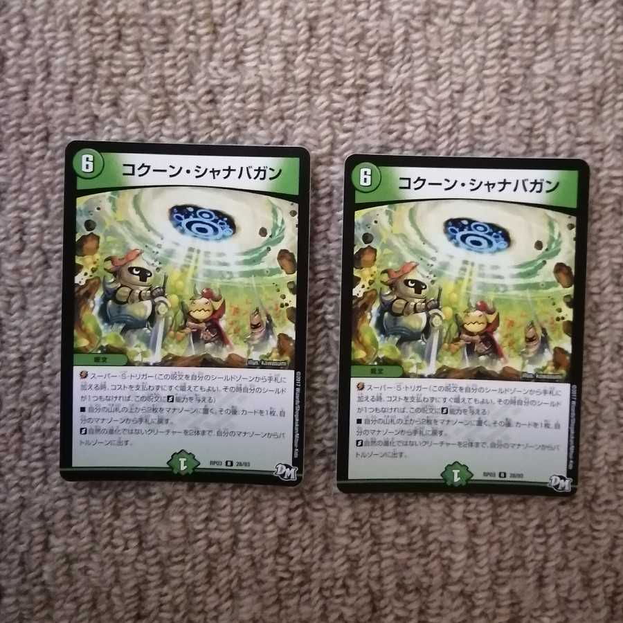 コクーン・シャナバガン