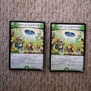 コクーン・シャナバガン