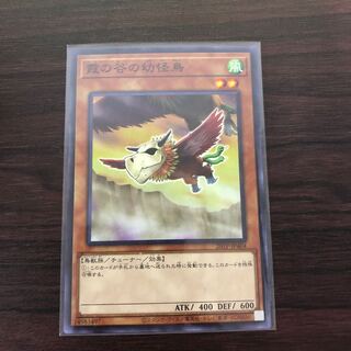 霞の谷の幼怪鳥