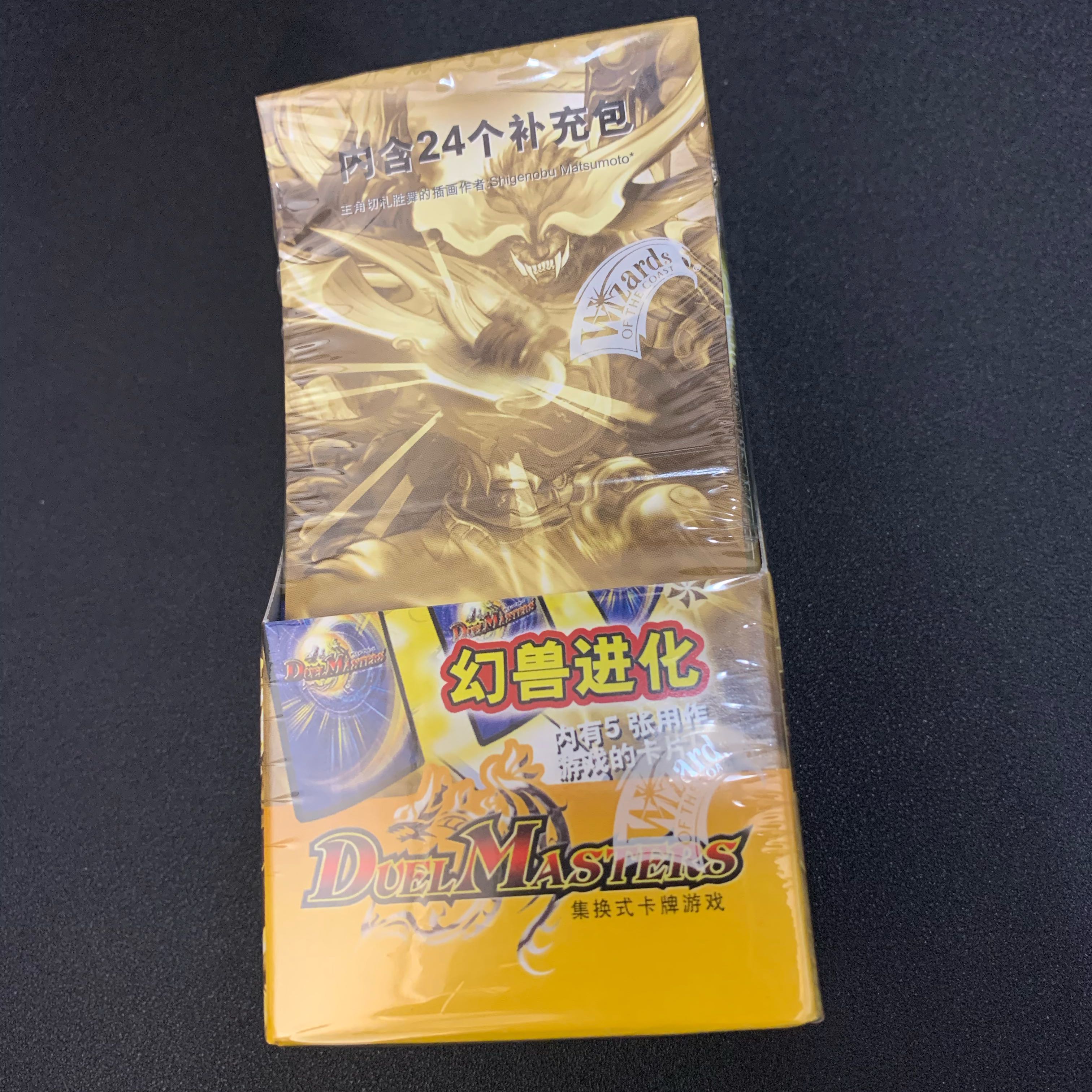 DM-02 box 中国語 値引き有