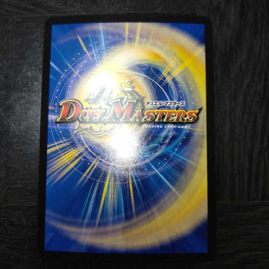 エリックさん専用「雷光の聖騎士」