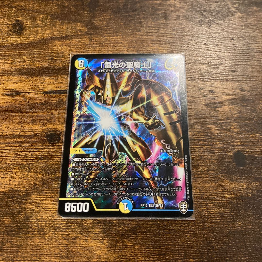 「雷光の聖騎士」