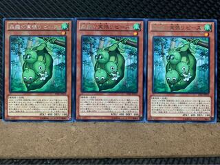 【ぽぽたん】遊戯王 7096 森羅の実張り ピース 3枚 レア