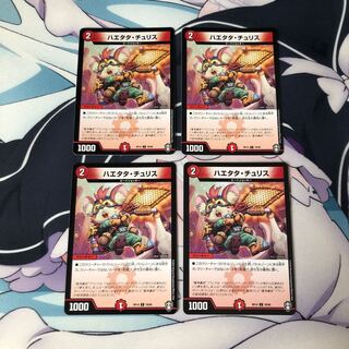 ハエタタ・チュリス 4枚セット①