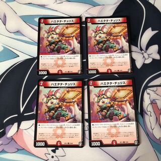 ハエタタ・チュリス 4枚セット②