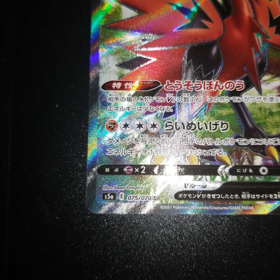 いずみさん用ガラルサンダーV SR