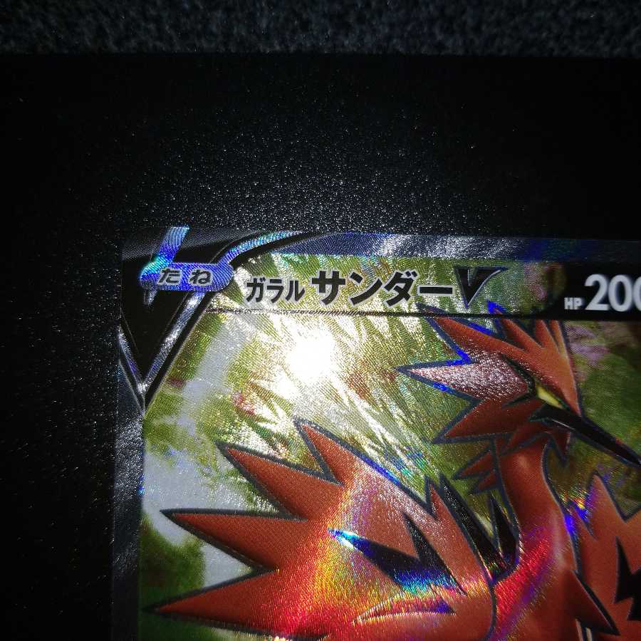いずみさん用ガラルサンダーV SR