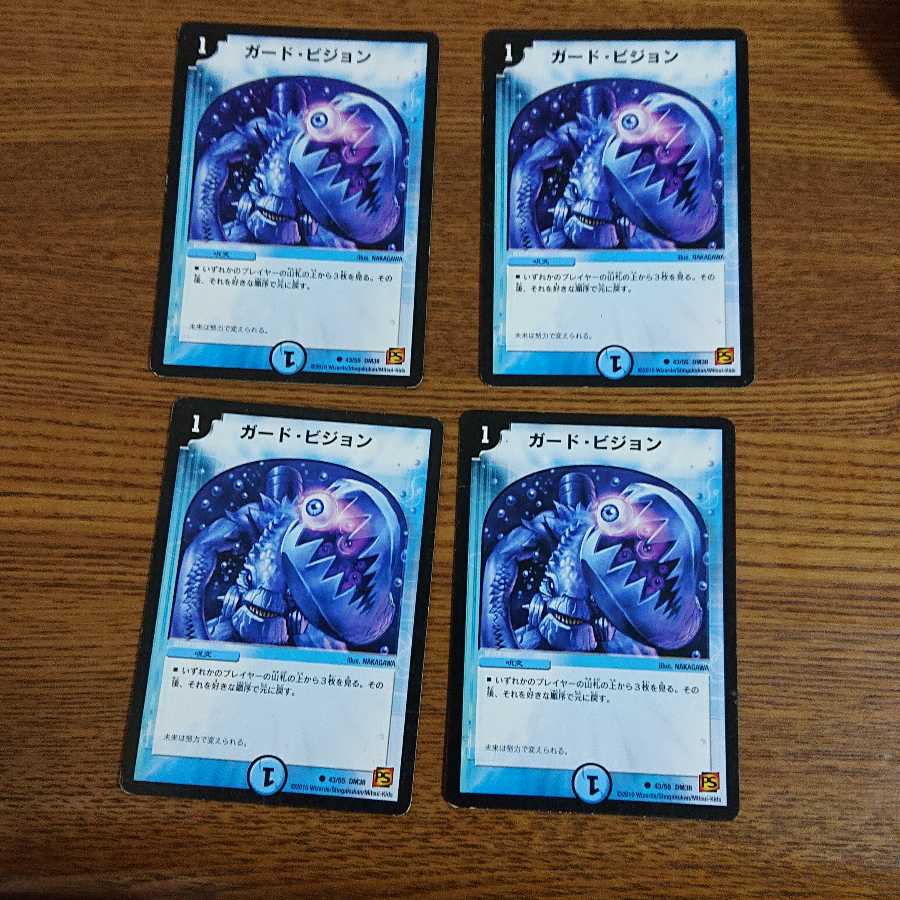 ガード・ビジョン