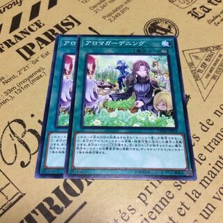 アロマガーデニング【N】