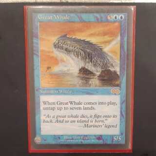 巨大鯨 レア