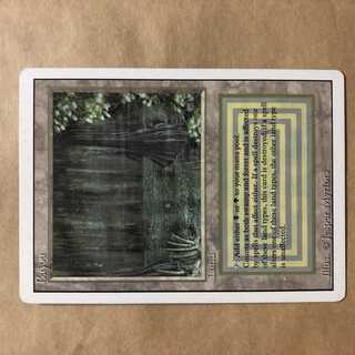 MTG Bayou リバイズド 英語