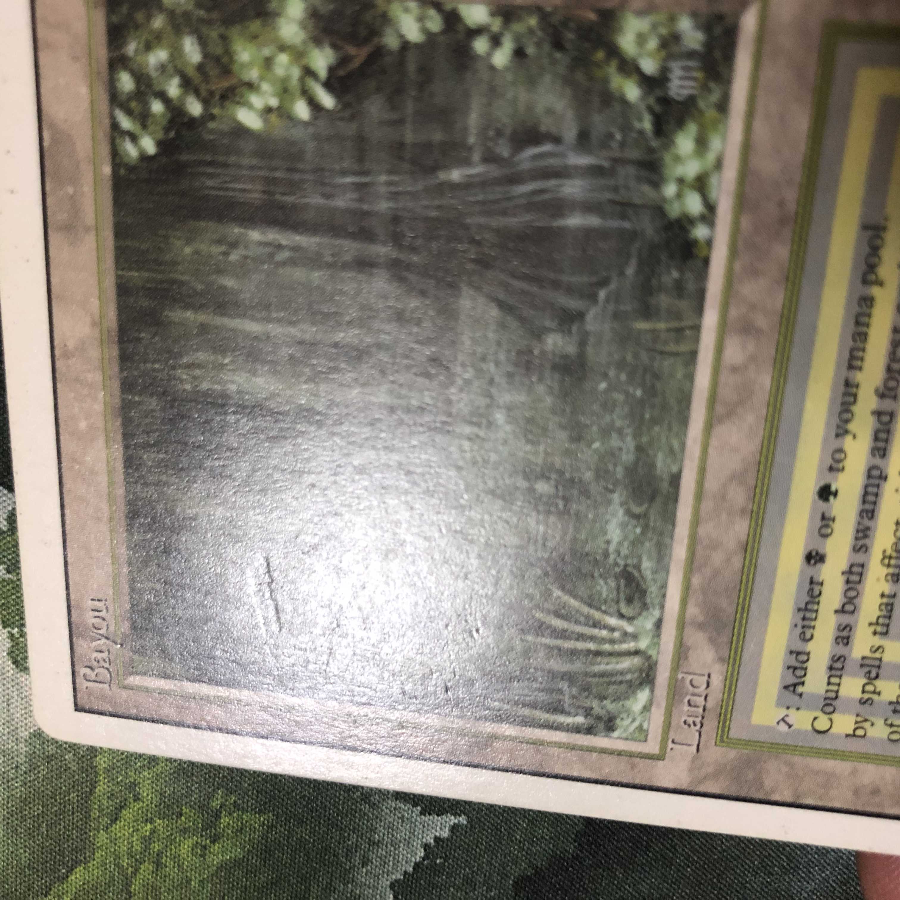 MTG Bayou リバイズド 英語