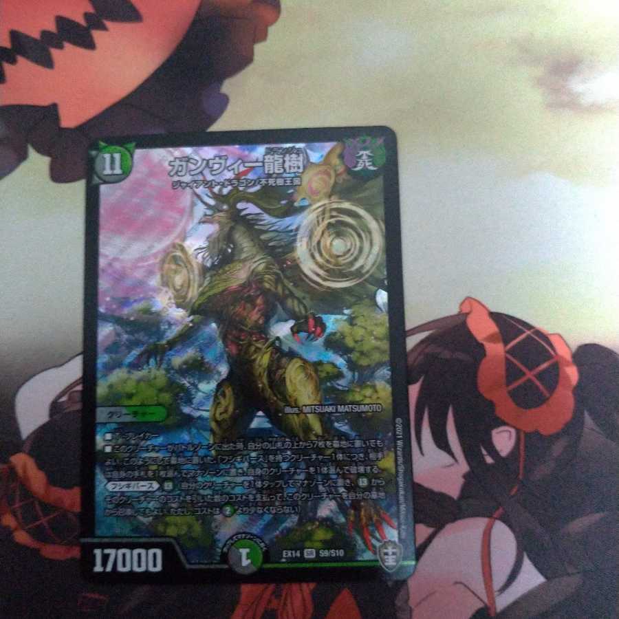 ガンヴィー龍樹