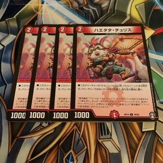 ハエタタ・チュリス　4枚