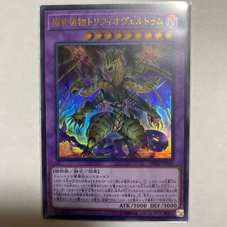 遊戯王 捕食植物トリフィオヴェルトゥム ウルトラ