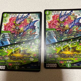 摩破目 ナトゥーラ・トプス｜ストンピング・ウィード