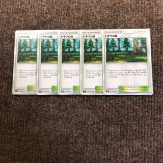 トキワの森 5枚