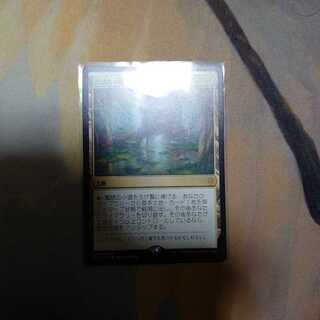 寓話の小道(日)