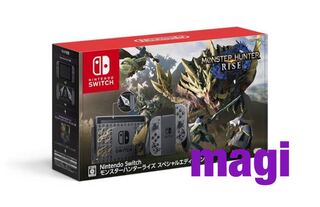 Nintendo Switch スペシャルエディション