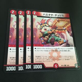 ハエタタ・チュリス