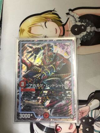 アカカゲ・レッドシャドウ