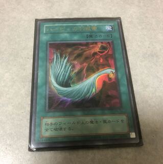 ハーピィの羽根帚