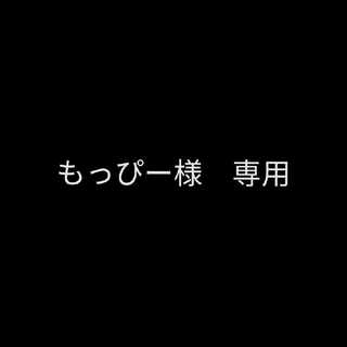 もっぴー様 専用/獅子王の遺跡