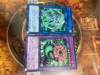 遊戯王★セキュア・ガードナー 、捕食植物キメラフレシア★