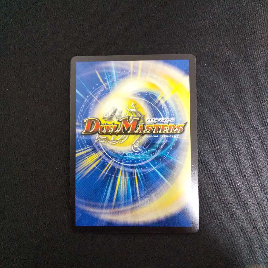 絶対の楯騎士 (値下げ検討)