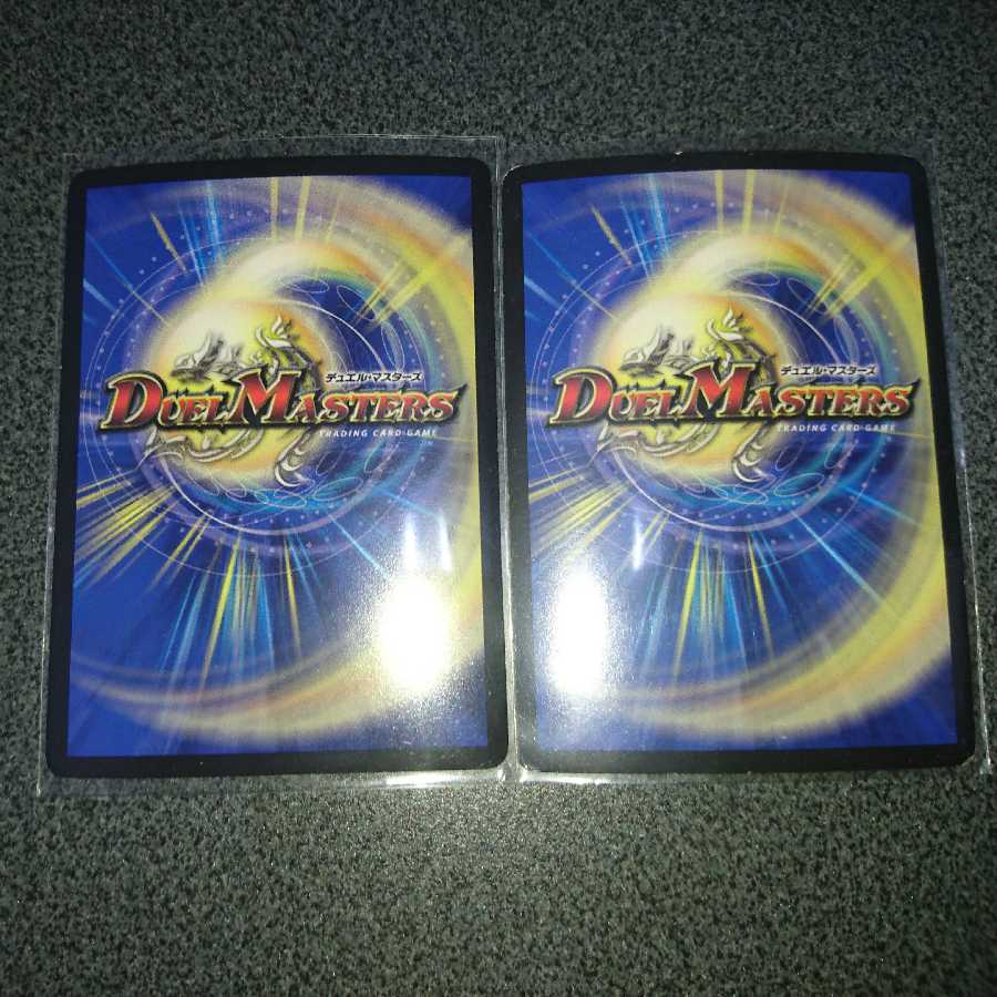 龍装艦 ゴクガ・ロイザー SR