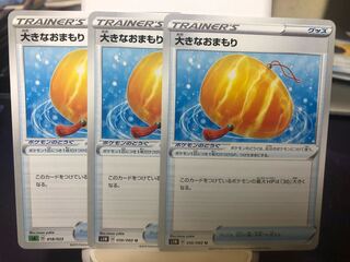 （ドクトルさん専用）大きなおまもり　しんかのおこうセット