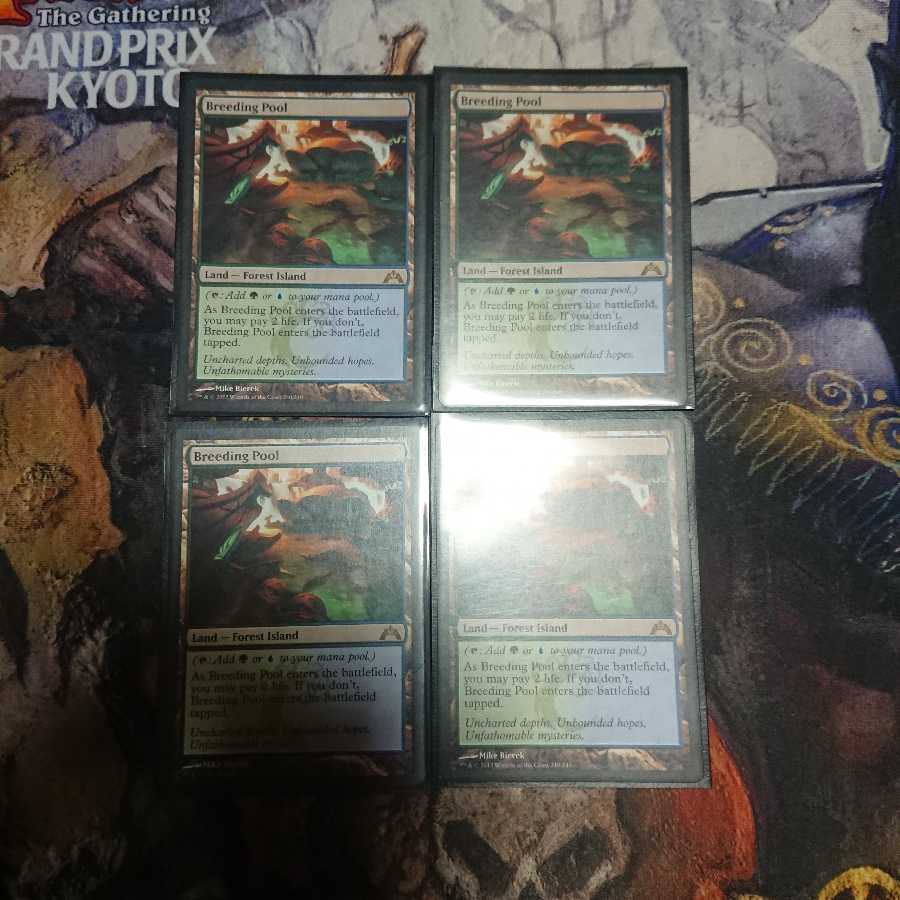 繁殖池 英語版 4枚セット