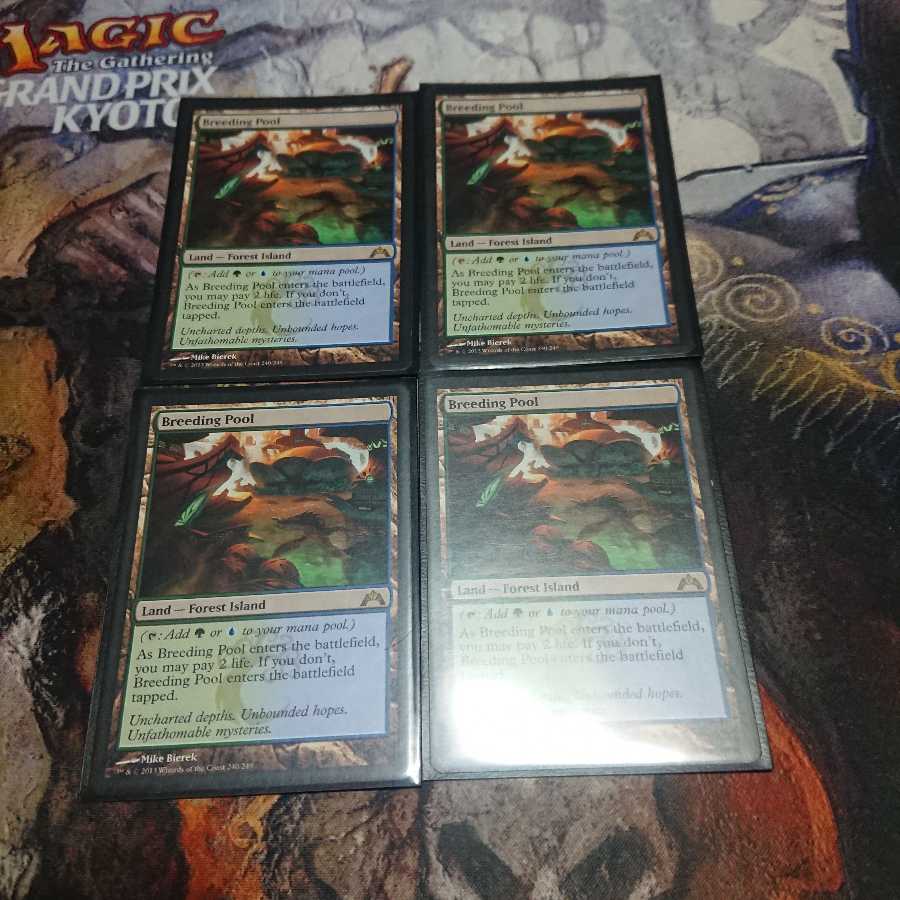 繁殖池 英語版 4枚セット