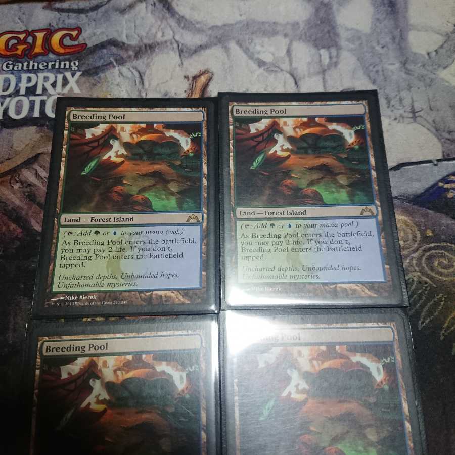 繁殖池 英語版 4枚セット