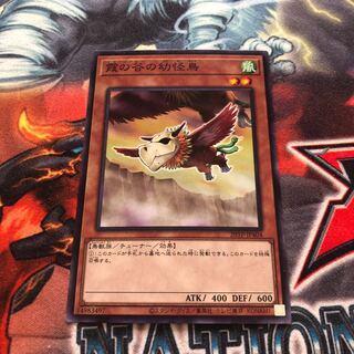 霞の谷の幼怪鳥 ノーマル