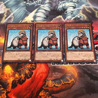 Rescue Ferret Rare 3