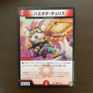 ハエタタ・チュリス