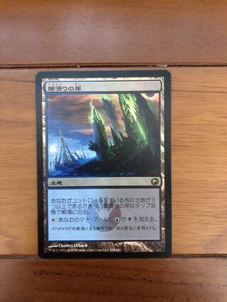 闇滑りの岸　foil