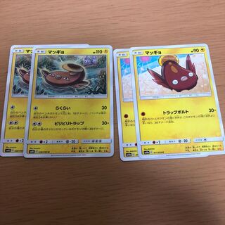 マッギョ 2種 4枚