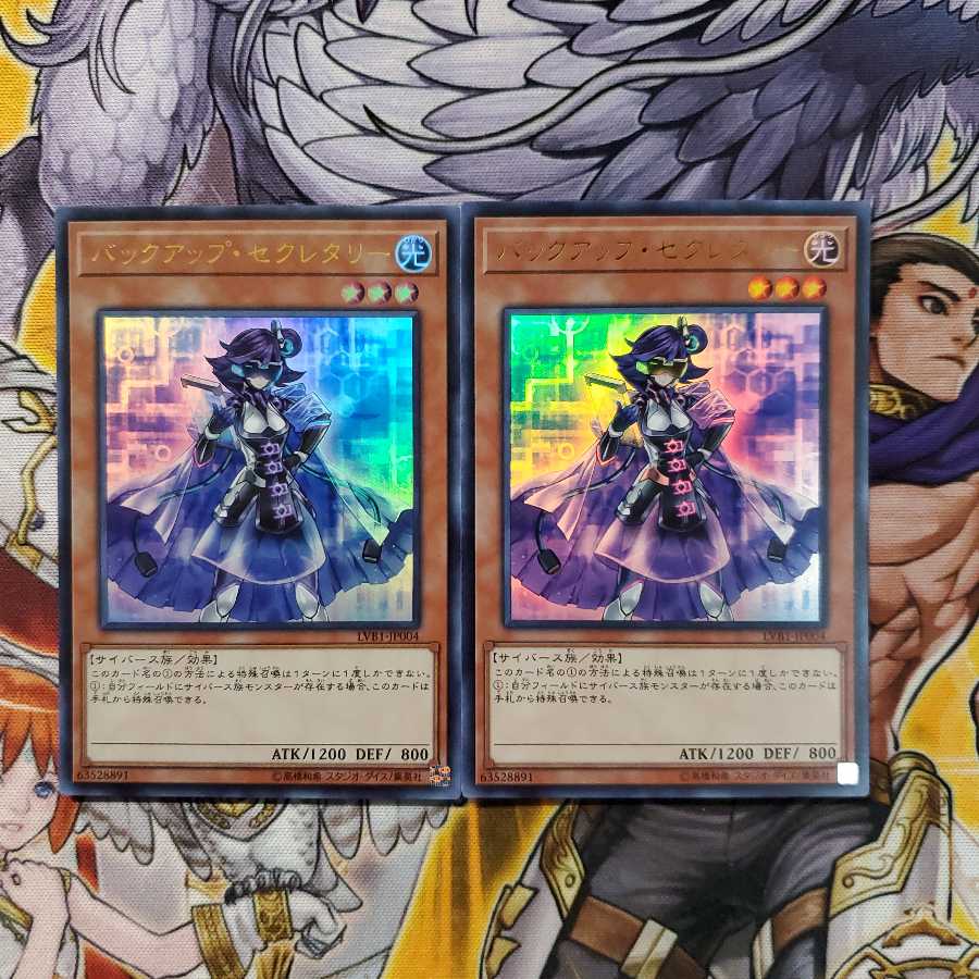 バックアップ・セクレタリー ウルトラレア