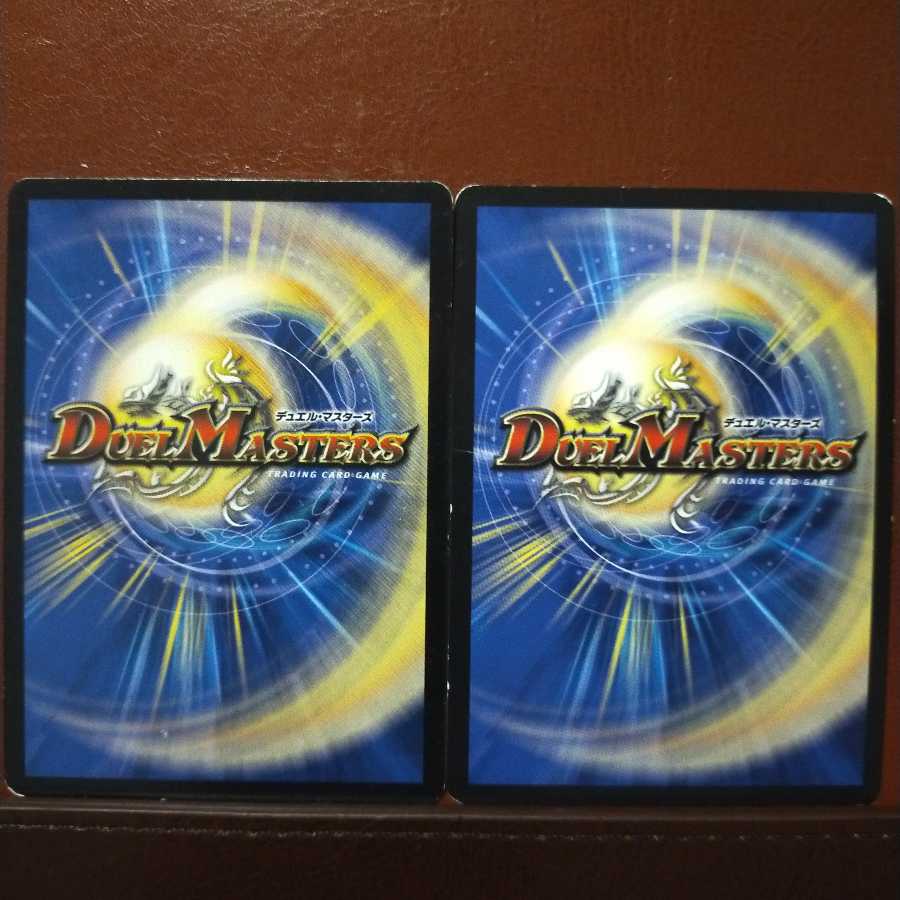 傷　セット割引　歴戦の精霊龍 カイザルバーラ