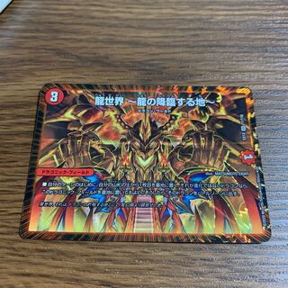 即日発送 龍世界 -龍の降臨する地-
