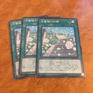 白薔薇の回廊 ノーマル