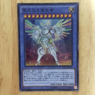 崇光なる宣告者