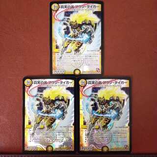 セット割引　真実の名 アラシ・タイガー